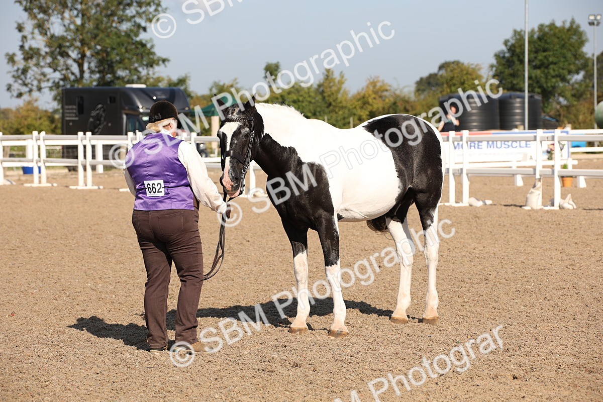 SBM_01496 - Class 15 IH Coloured