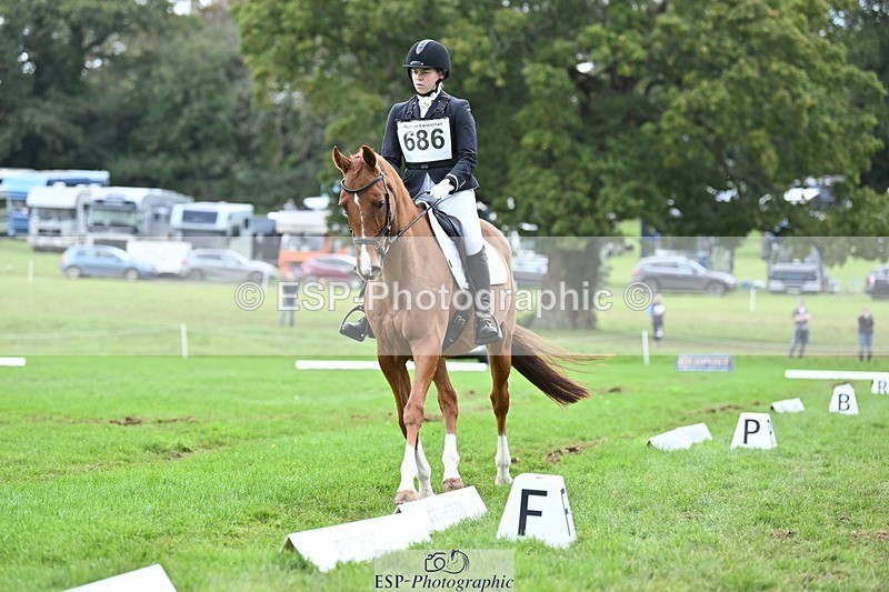 231020-152814-11481 - 686-MOORLAND.MAGIC-Charlotte.Chard-DR