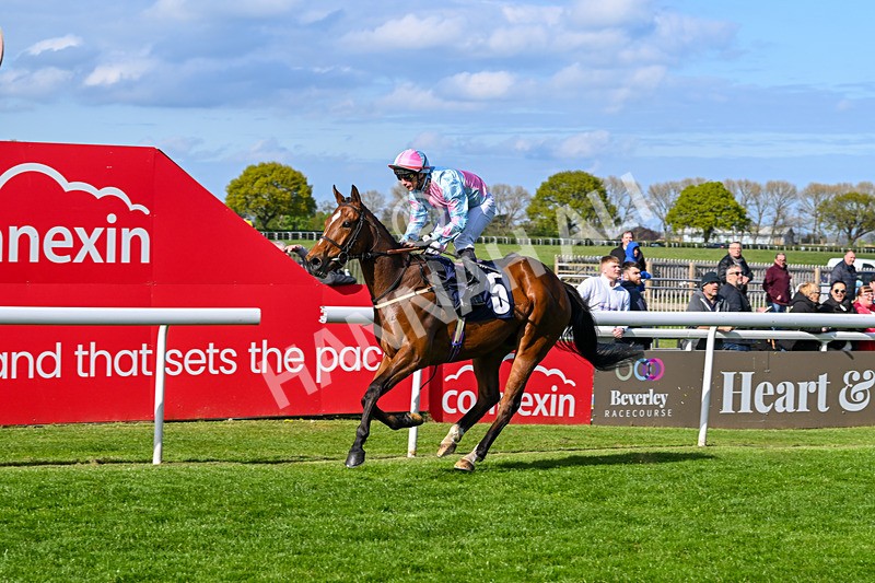 240425-Race 6-Alfie Boy-1675 - Race 6
