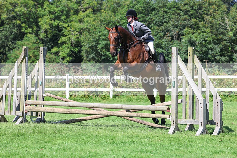 3E7A8297 - Class 4: Novice working Hunter