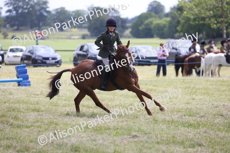 20260614-1861 - Class 21 - Novice Working Hunter Pony