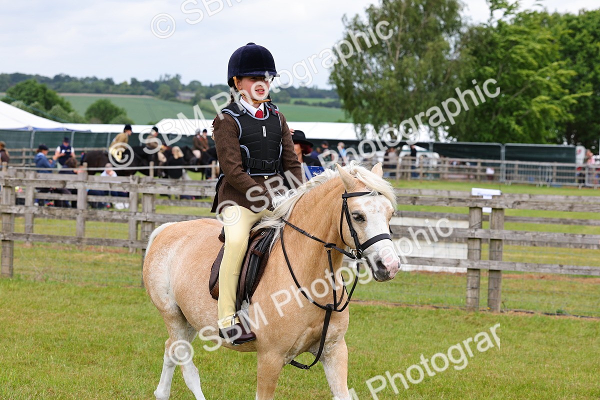 SBM_08554 - Class 42-43 - LIHS BSPS Heritage Working Sports Pony