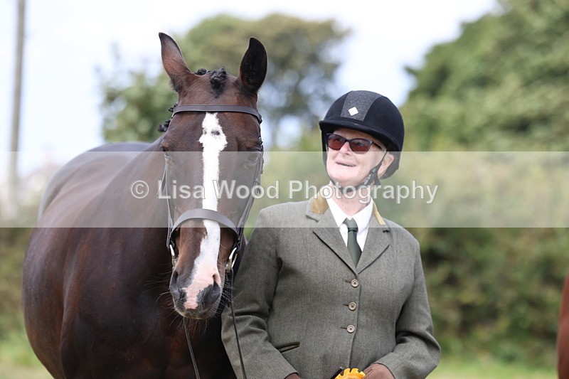 3E7A5605 - Class 20: Sports Horse In Hand
