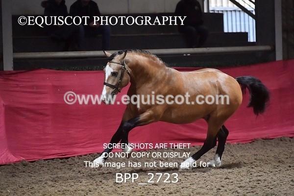 BPP_2723 - LOOSE JUMPING / SPSS