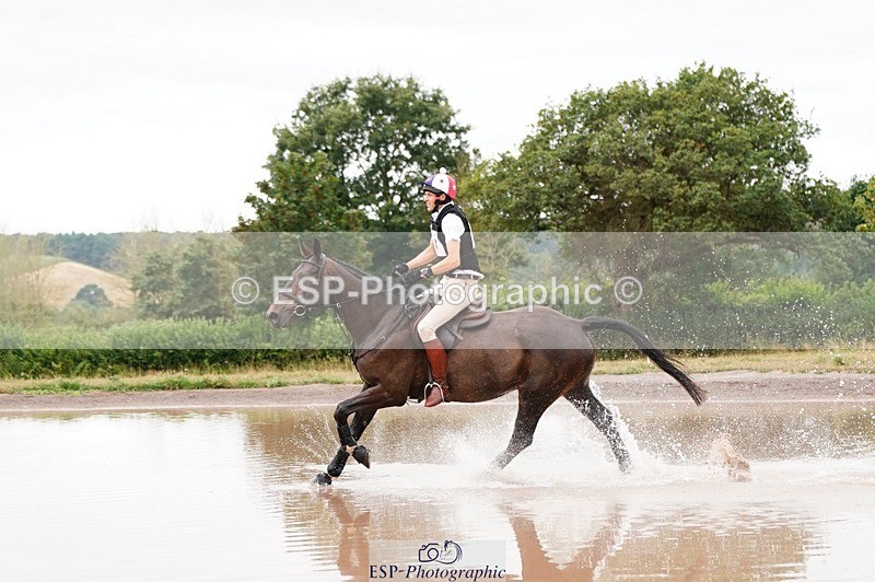 250803A-112158-11427 - L-517-Thomas.Guilding-CLOVER.BILL