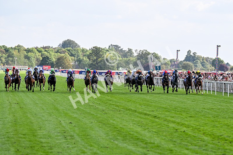 220826-Race 5-Sondad-1044 - Race 5 16.10pm Sky Bet Constantine Handicap