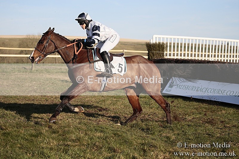PtP 240218 690 - Vine & Craven Hunt Point-to-Point Barbury racecourse 24/02/18