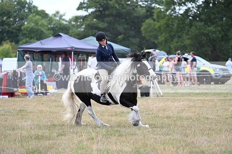 WJ7_5358 - Class 12 Ridden Cob