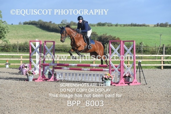 BPP_8003 - CLASS 31 SUN Club/ Unaffiliated 80cms Open