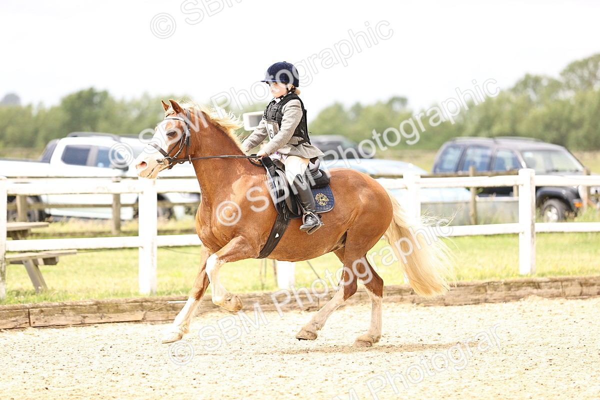 SBM_000645 - Class 3 - 60cm