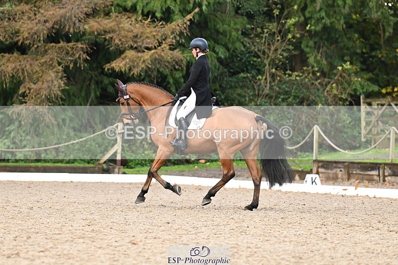 251023A-160642-05996 - B-167-Tabitha.Taylor