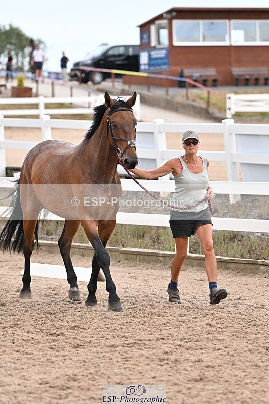 250716-145926-01591 - Trot Up 2.30 to 3.30