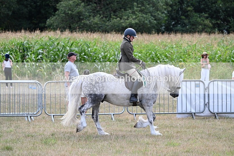 WJ7_5590 - Class 12 Ridden Cob