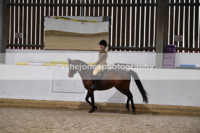 WJ5_8968 - Class 15 Ridden Show Horse