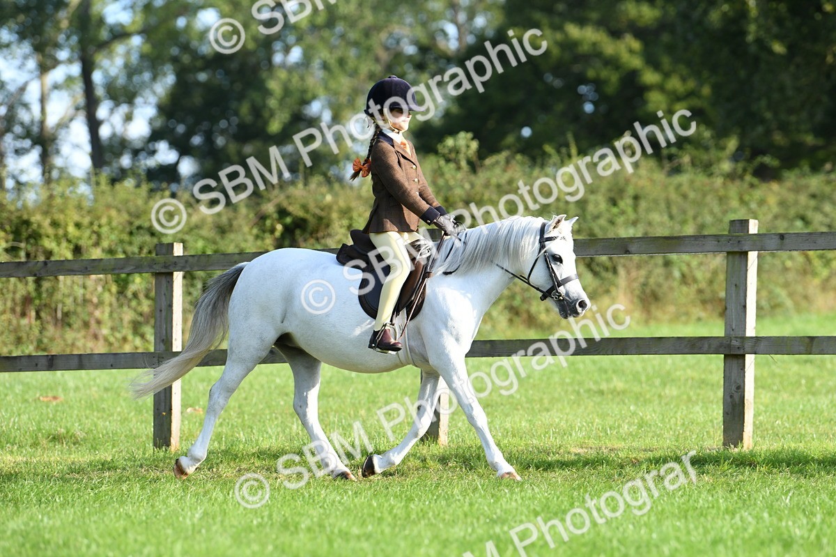 SBM_53979 - S23 - 1st Ridden Mountain & Moorland Pony