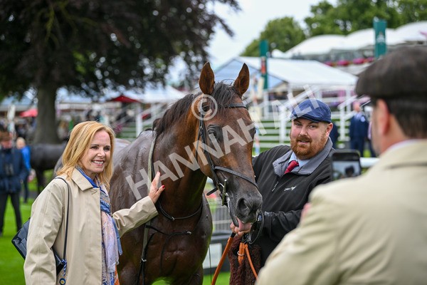 130724-Race 6-Zimmerman-7797 - Race 6 4.50pm John Smith's Stayers' Handicap