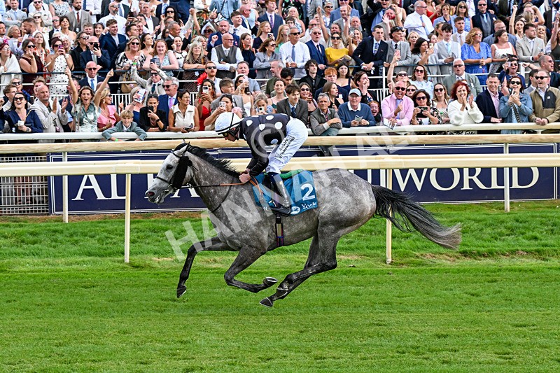 250726-Race 6-Likealot-1221 - Race 6 16.17pm Sky Bet Build A Bet Handicap