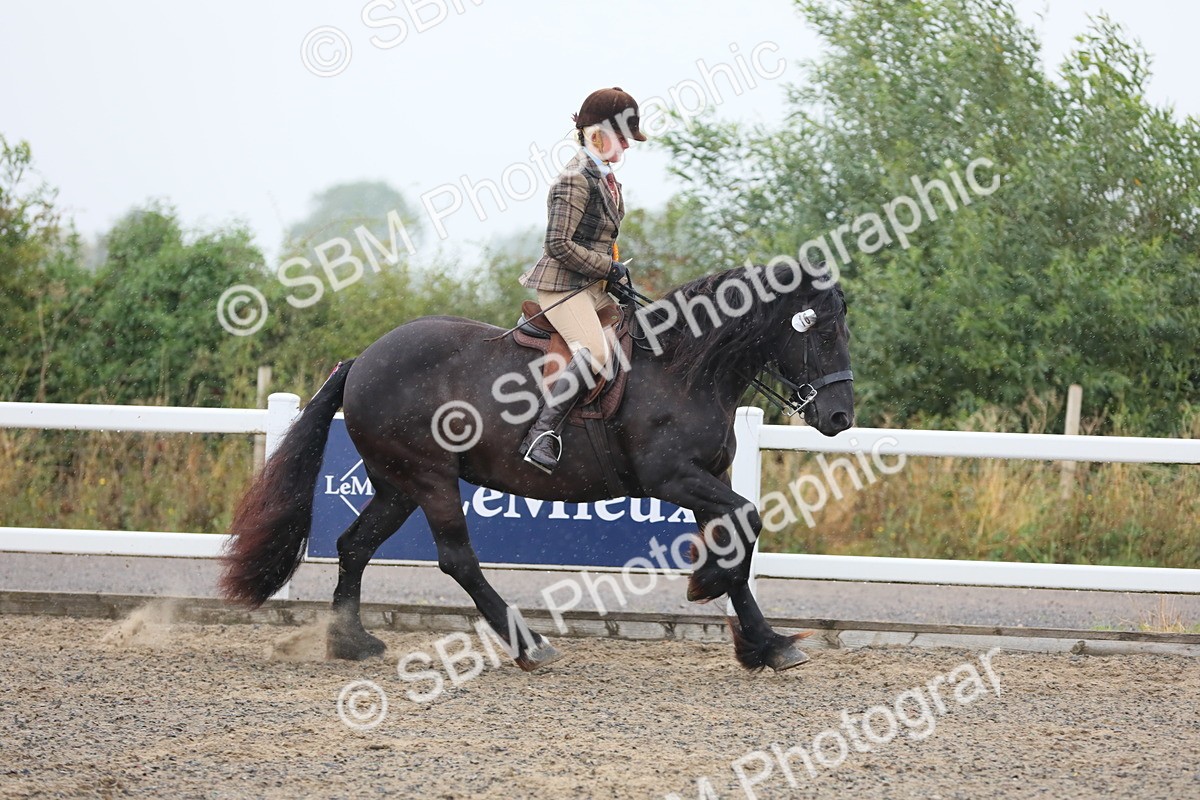 SBM_19994 - Class 801 - Ridden Veteran