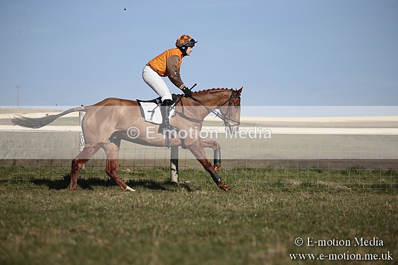 PtP 240218 470 - Vine & Craven Hunt Point-to-Point Barbury racecourse 24/02/18