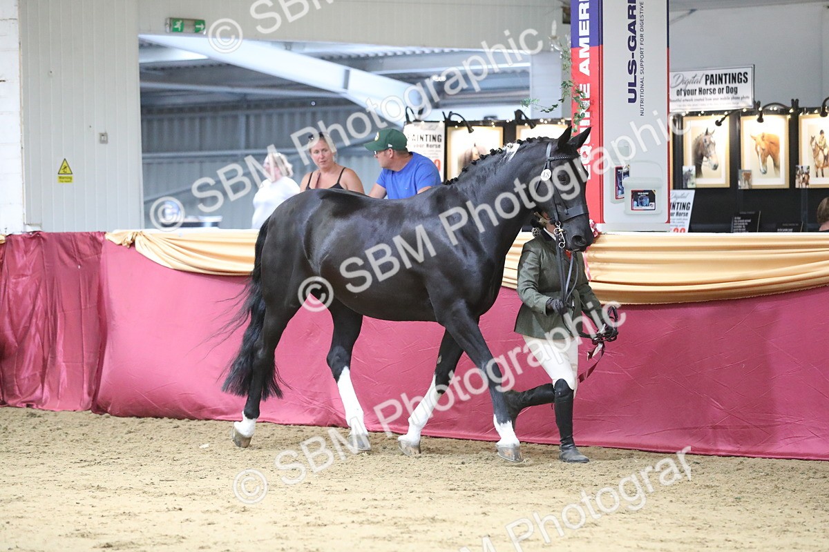 SBM_06491 - Class 9R Regional- IH Pre Vet