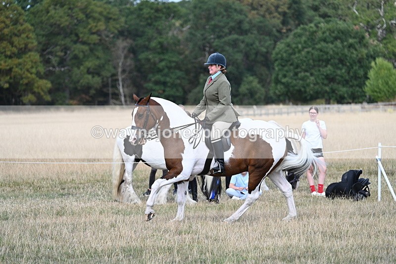 WJ7_7273 - Class 14 Ridden Coloured