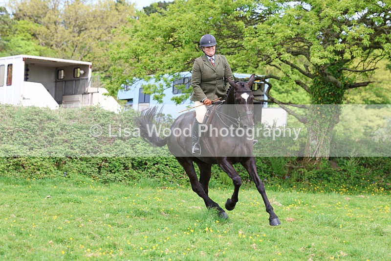 3E7A1326 - Class 7: Ridden Hunter Type