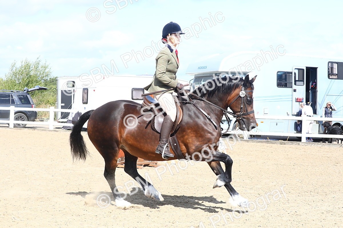 SBM_12302 - Class 505b - M&M Working Veteran  50cm (20+)