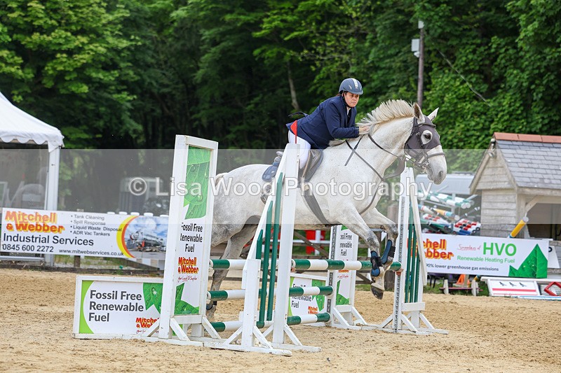 3E7A8519 - Class 4: Senior British Novice/90cm open