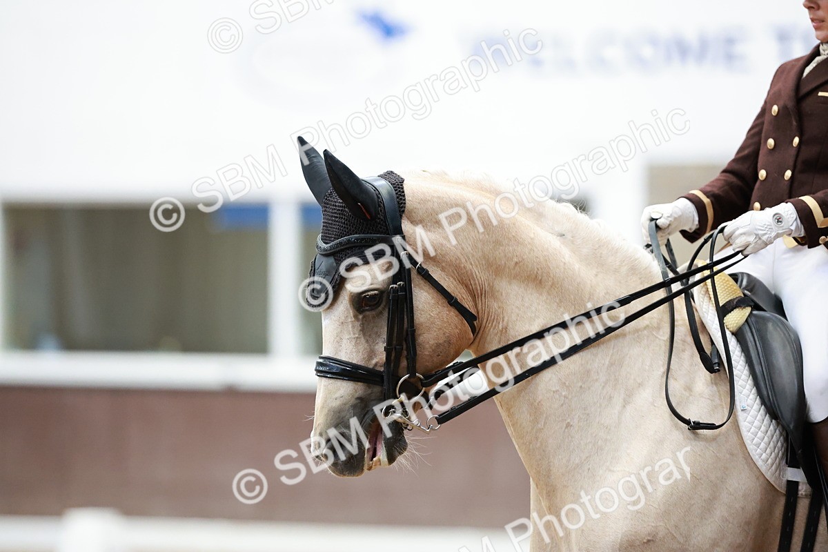 SBM_011813 - Class 7- Adv Med FSM