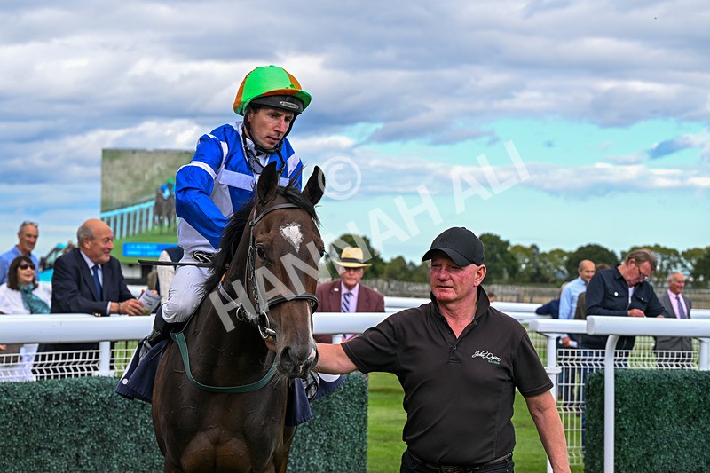 160926-Race 2-Northern Viola-9789 - Race 2 2.43pm Young Guns Nursery Handicap