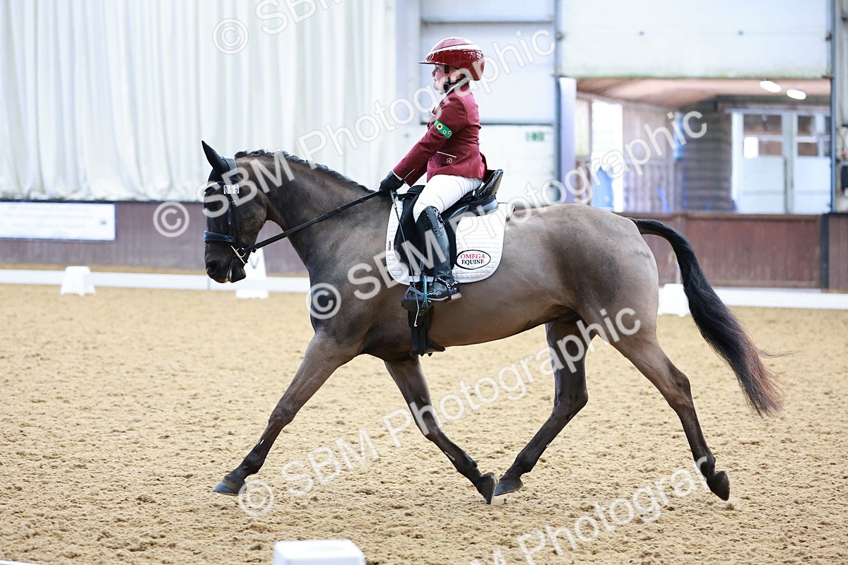 0B8A3910 - Class 3-6-9 - Prel Nov Ele - FSM