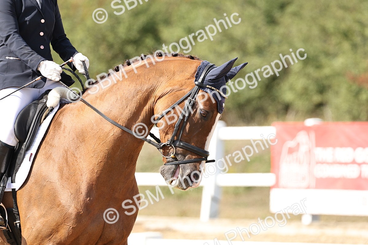 SBM_014921 - Class 7 - Medium 3