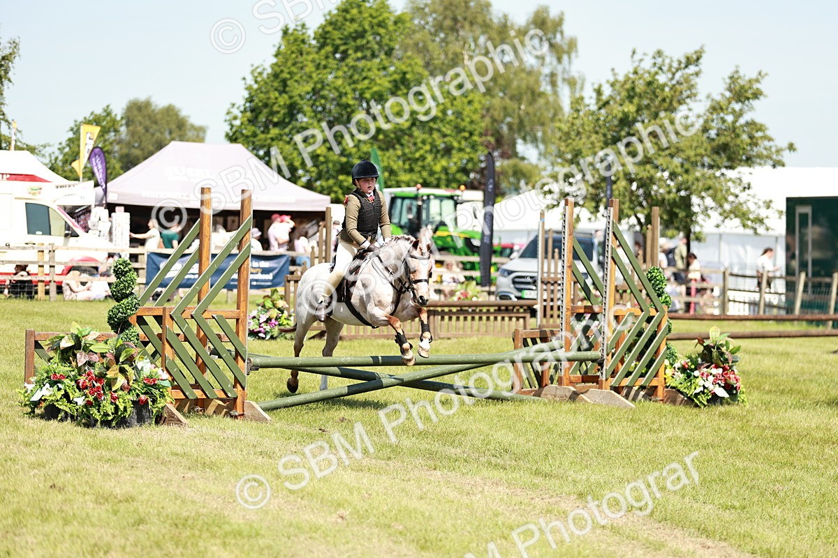 SBM_13609 - Class 108-109 - BSPS LIHS Open Gradle & Nursery Stakes