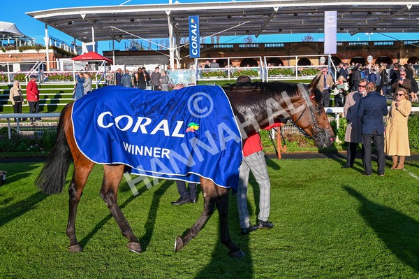 141023-Race 7-Star Ahoy-9402 - Race 7 4.45pm Coral 'Committed To Safer Gambling' Finale Handicap