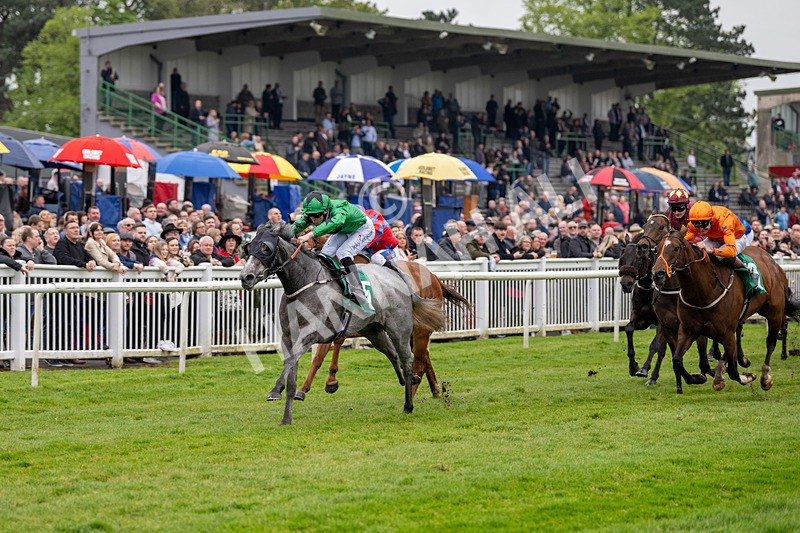 040524-Race 4-Star Of Lady M-4506 - Race 4