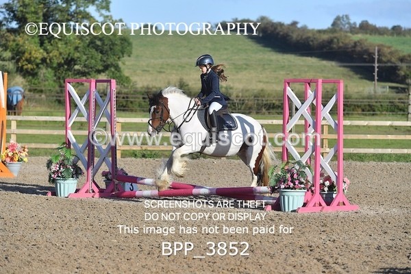 BPP_3852 - CLASS 0 Clear Round Show Jumping