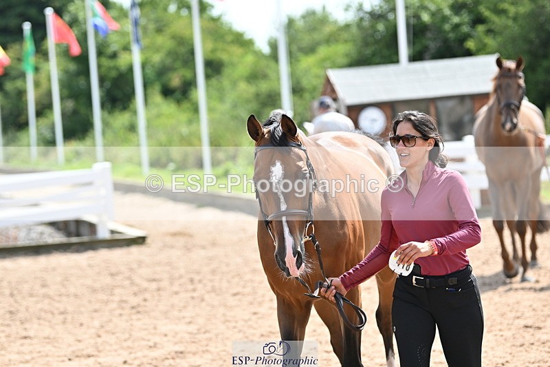 240717A-151027-02610 - Trot Up 3pm to 4pm