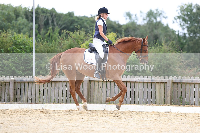 3E7A7224 - Class 9: Elementary 4 2024 - No sections