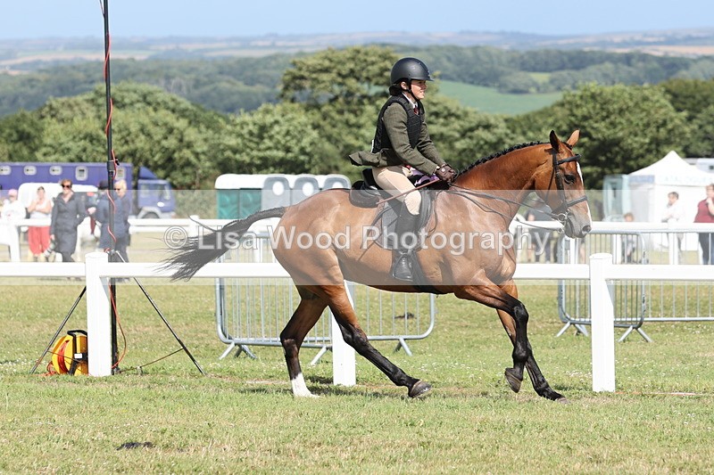JPP_2482 - Class 19: Working Hunter 60cm