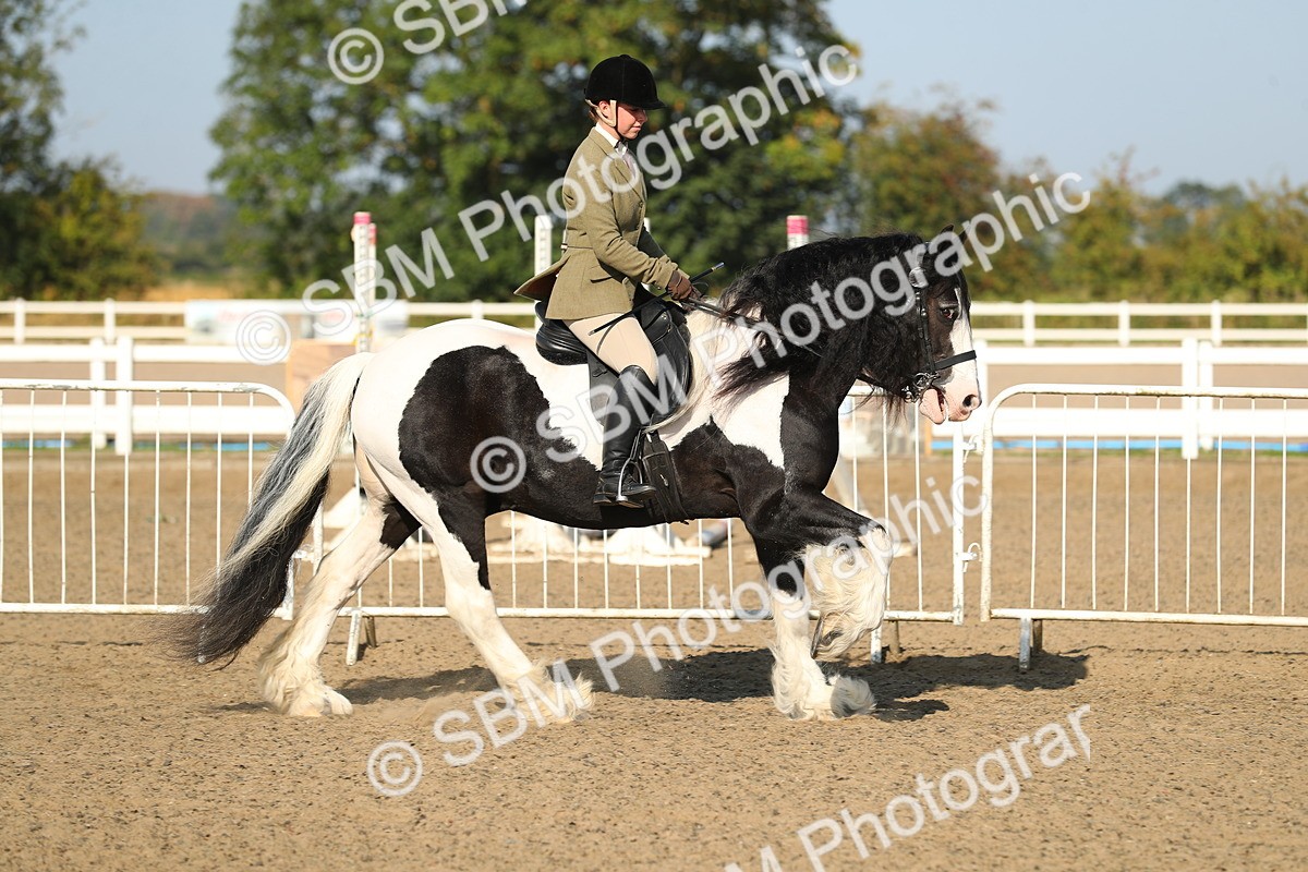 SBM_01128 - Class 42 Ridden Veteran