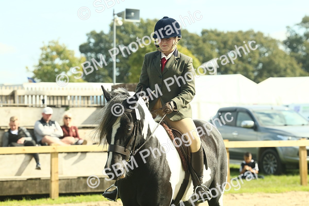 SBM_68805 - S58 - Mini Show Cob Ridden
