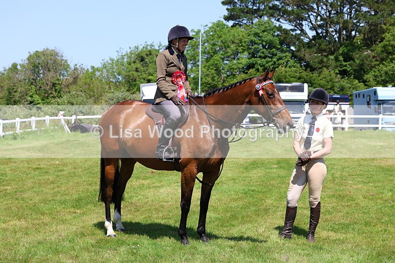 3E7A7547 - Class 31: Working Hunter Cob/Riding Horse