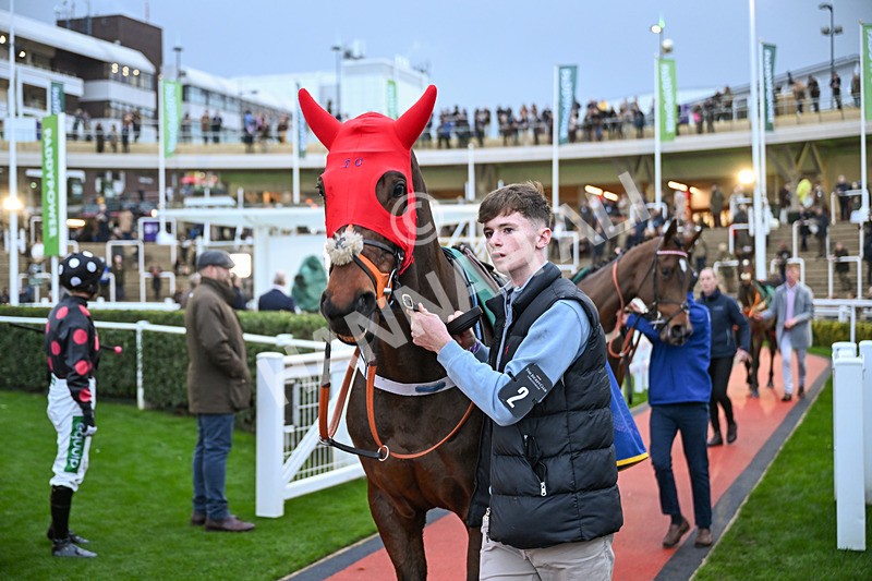 151125-Race 7-Celestial Tune-4630 - Race 7