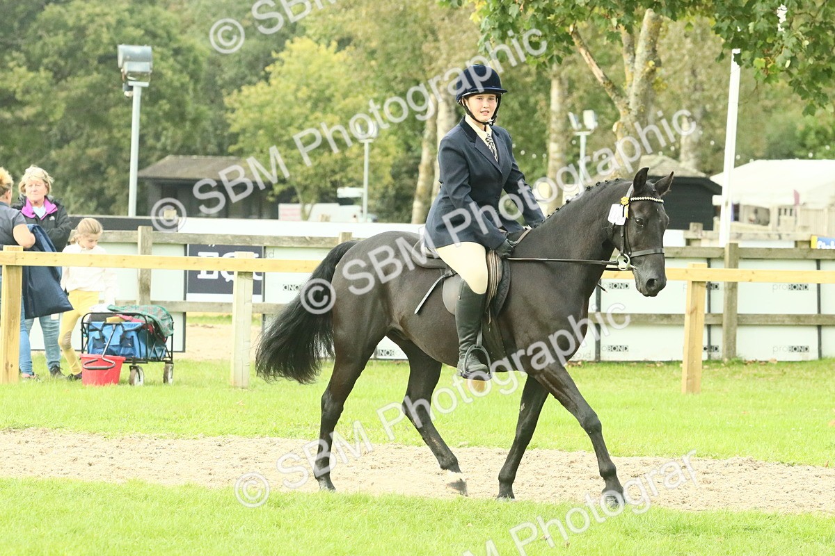 SBM_74098 - S 61 - Show Pony & Show Hunter Pony Ridden