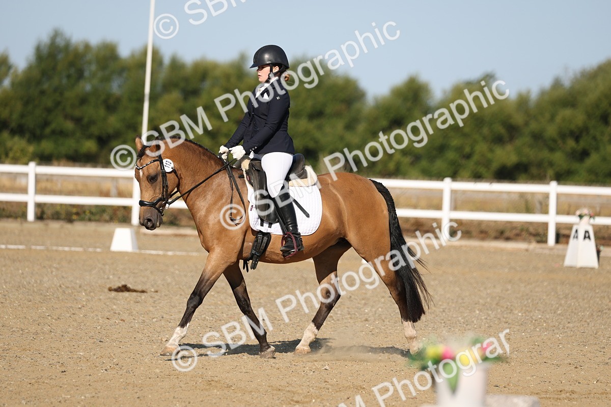 SBM_012614 - Class 1 - P5 Bronze 9.00.10.12