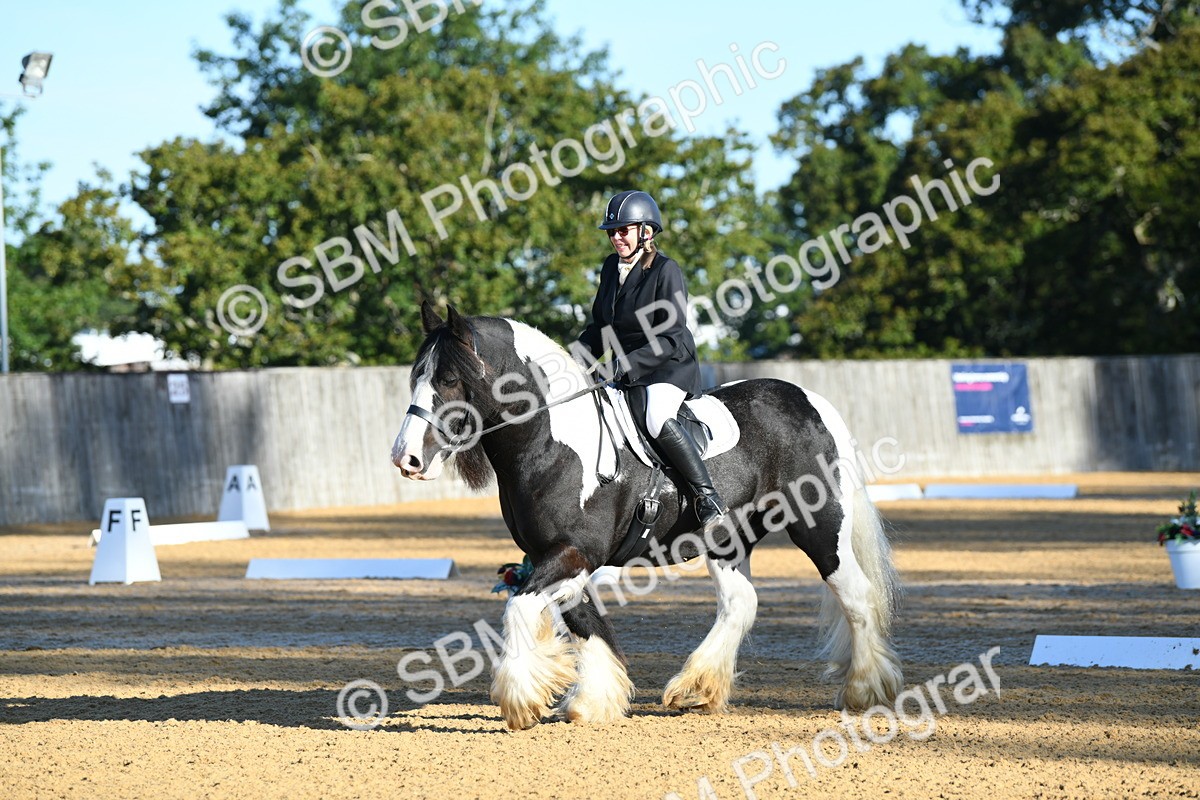 SBM_14467 - D4 - Small Tour Championship - Intro B