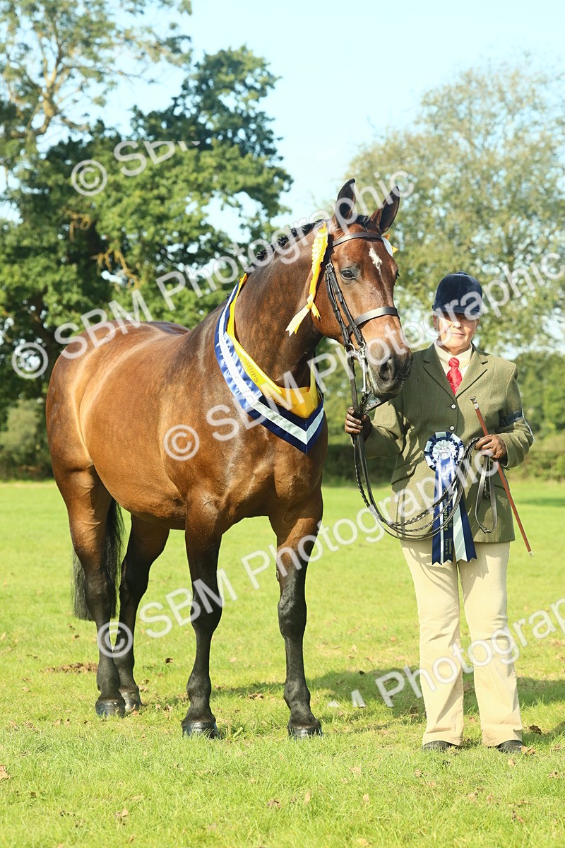 SBM_61168 - Starter Supreme Championship