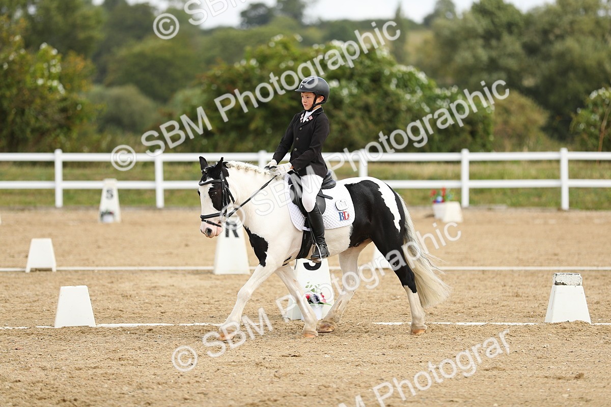 SBM_016336 - Class 13 - Novice 23 - 11.25-12.35