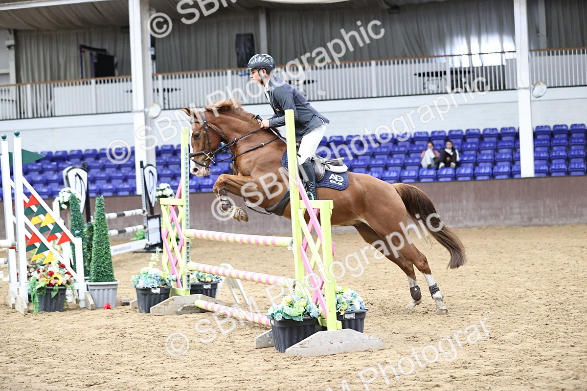 SBM_002220 - Class 11 - Pony Discovery - 90cm Open