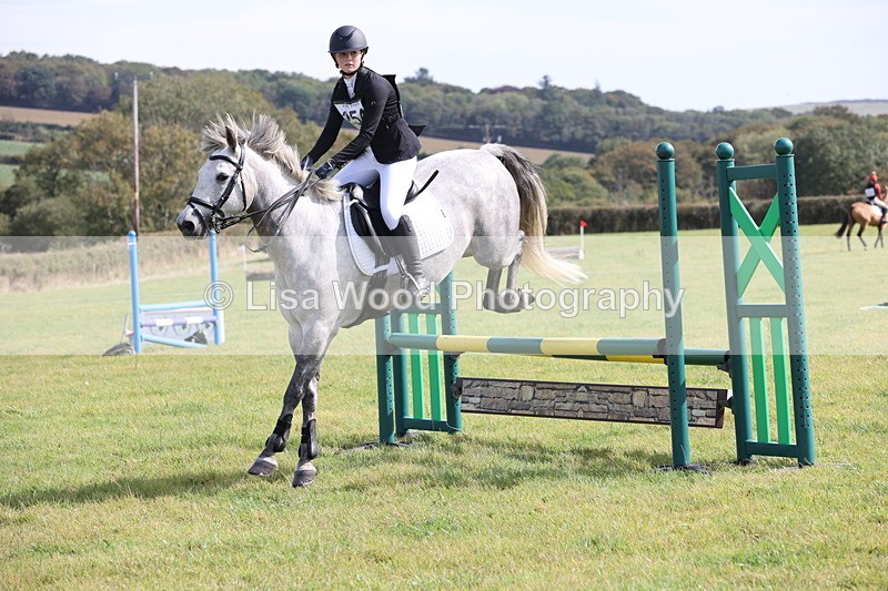 JPP_8640 - Class 2: Trekenning: 80cm Showjumping